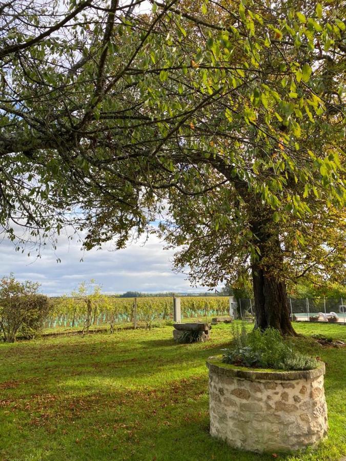 Le Jardin Dans Les Vignes Bed & Breakfast Barsac  Bagian luar foto